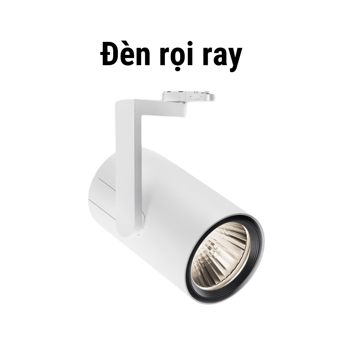 LED rọi ray HDP Việt Nam