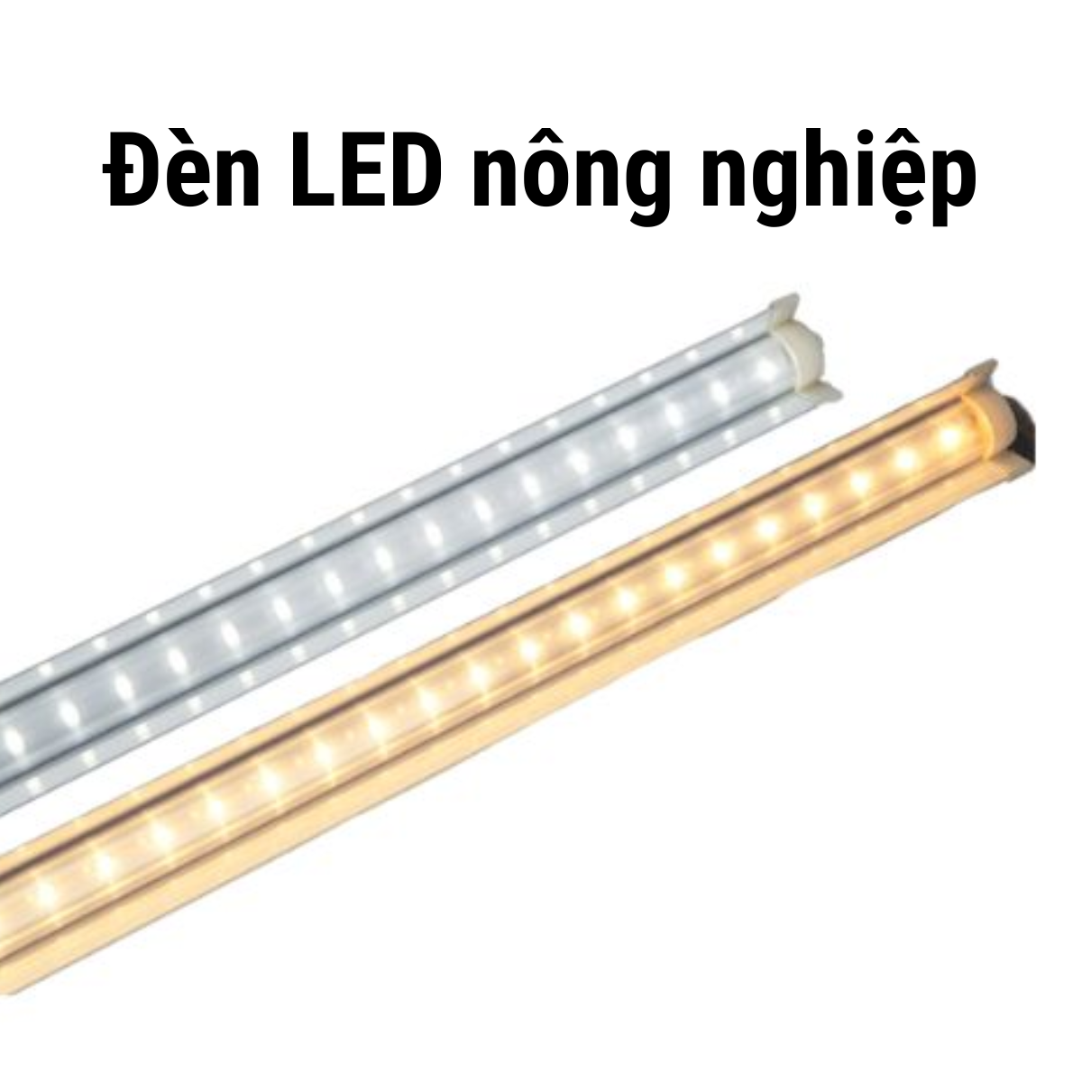 Chiếu sáng cho ngành nông nghiệp HDP Việt Nam