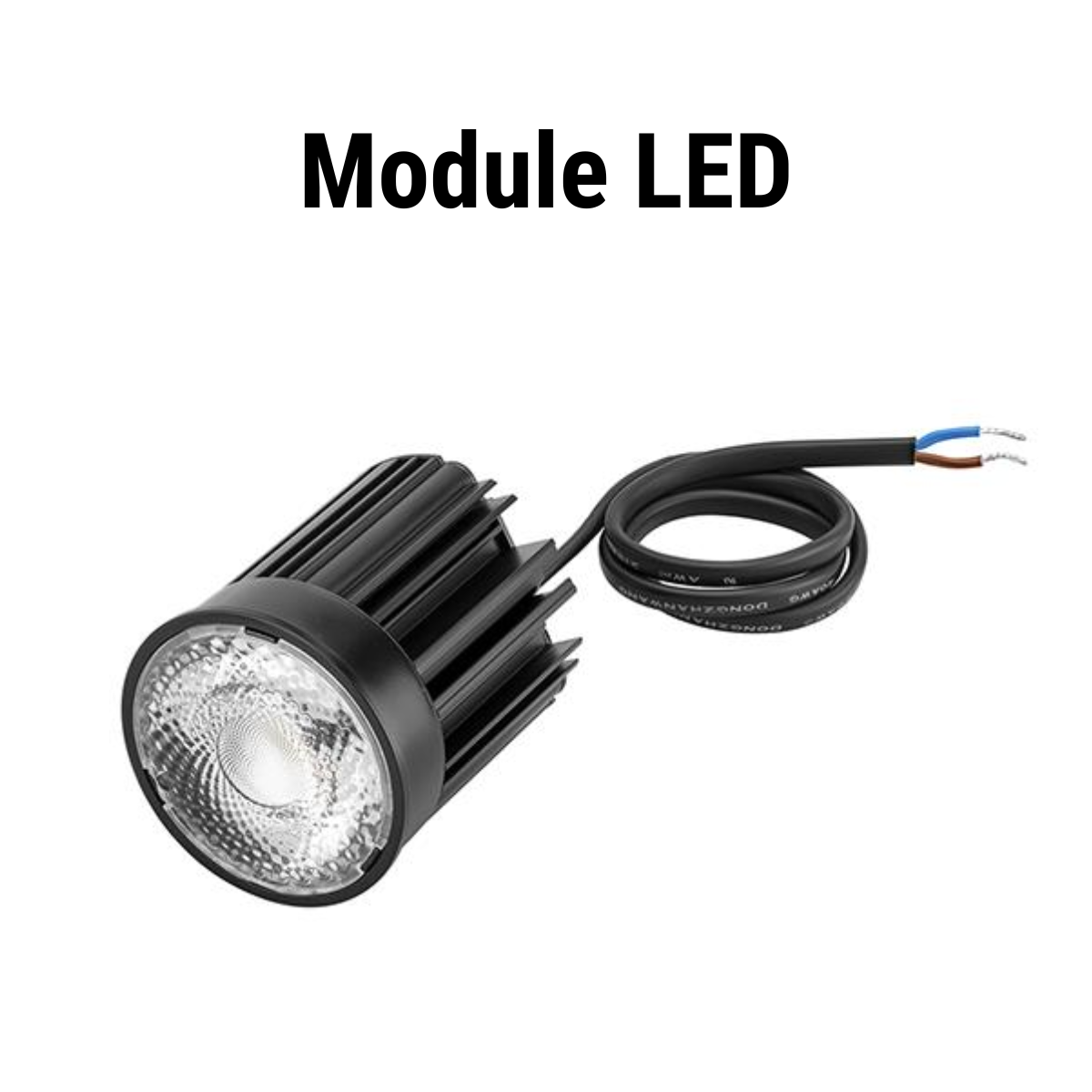 Module LED HDP Việt Nam