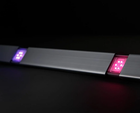 LED Dot HDP Việt Nam