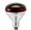 IR LAMP R40/R125 - Đèn hồng ngoại sửi ấm