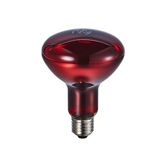 IR LAMP R95 - Đèn nhiệt hồng ngoại