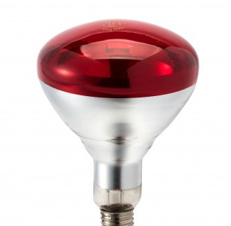 IR LAMP R40/R125 - Đèn hồng ngoại sửi ấm