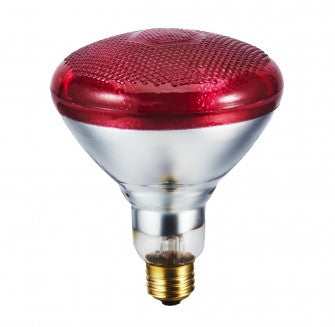 IR LAMP PAR38 - Đèn nhiệt hồng ngoại