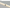 LACE - IntiLED